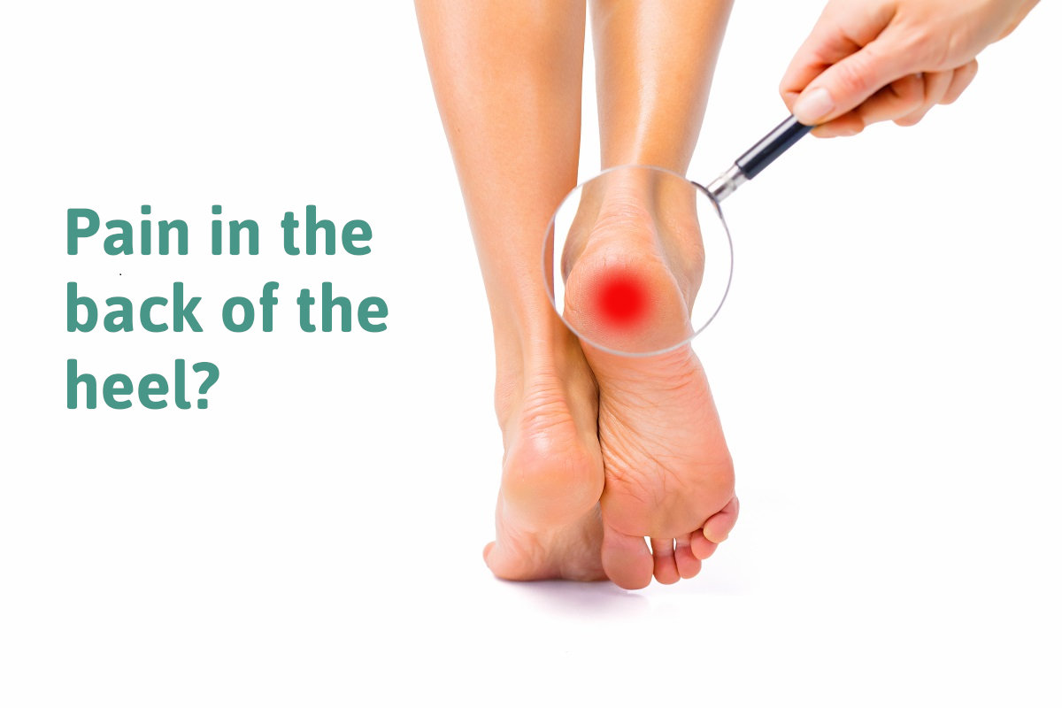 pain in the back of the heel